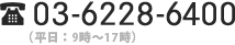 03-6228-6400 (平日：9時～18時)